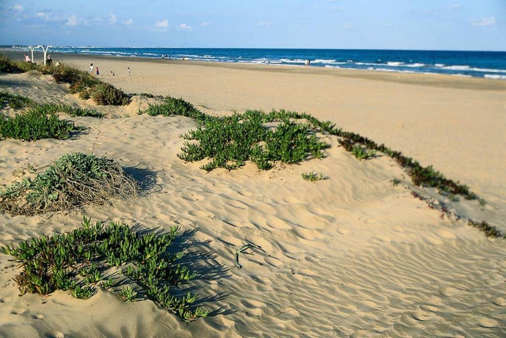 Apartamento En Playa Canet De Berenguer Canet d'En Berenguer Екстериор снимка